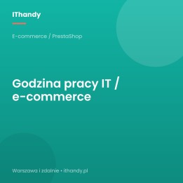Godzina pracy IT / e-commerce - 100 zł netto - IThandy