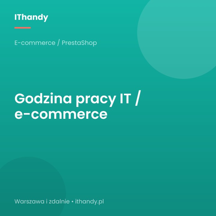 Godzina pracy IT / e-commerce - 100 zł netto - IThandy